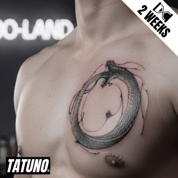 Tatuaż jagua półtrwały ouroboros węża w stylu graficznym
