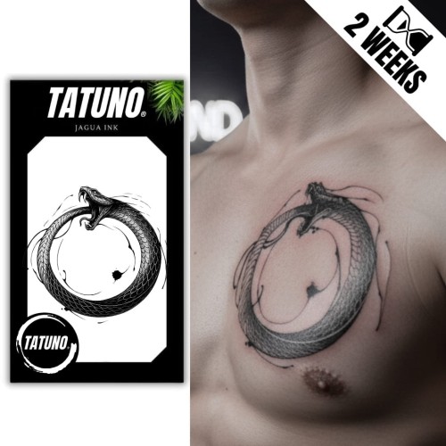 Tatuaż jagua półtrwały ouroboros węża w stylu graficznym