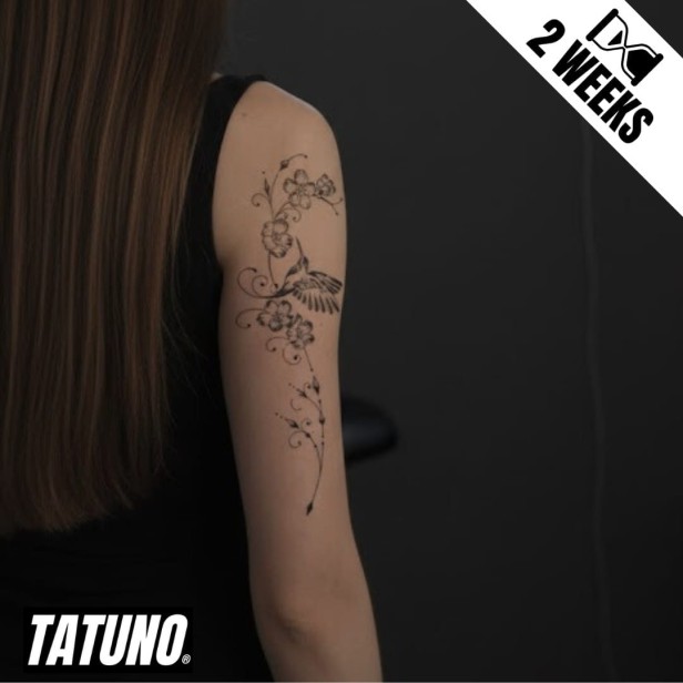 Tatuaż jagua półtrwały taniec kolibra