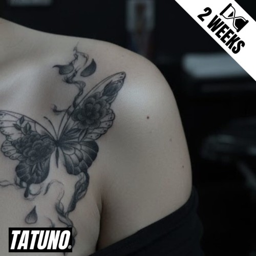 Tatuaż jagua półtrwały ulotny motyl