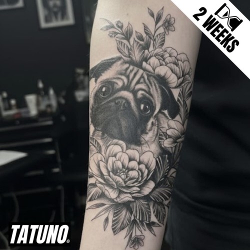 Tatuaż jagua półtrwały pies mops