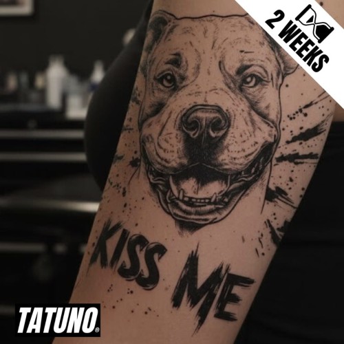 Tatuaż jagua półtrwały całuj albo szczeknę – pies kiss me