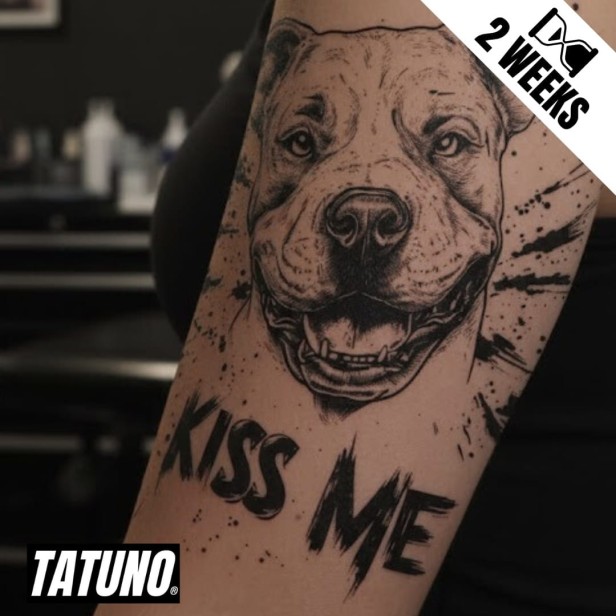 Tatuaż jagua półtrwały całuj albo szczeknę – pies kiss me