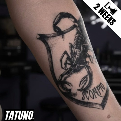 Tatuaż jagua półtrwały zodiakalny skorpion