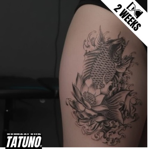 Tatuaż jagua półtrwały karp koi kwiat lotosu