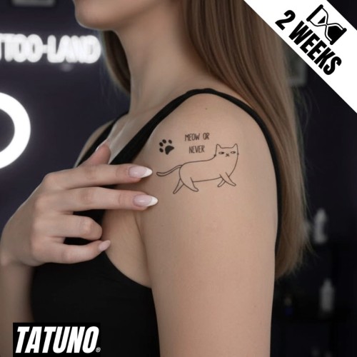 Tatuaż jagua półtrwały koty napisy