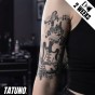 Tatuaż jagua półtrwały gitara i różany nutnik