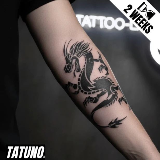 Tatuaż jagua półtrwały ognisty smok