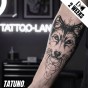 Tatuaż jagua półtrwały wilcza siła