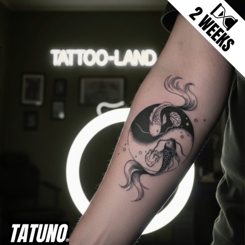 Tatuaż jagua półtrwały ying yang rybki