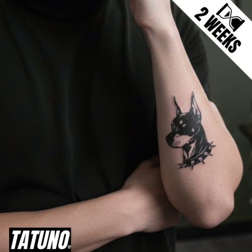 Tatuaż jagua półtrwały doberman