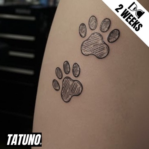 Tatuaż jagua półtrwały psie łapki