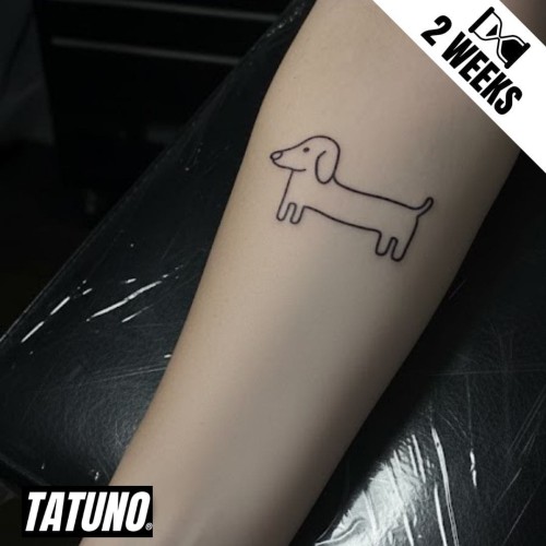 Tatuaż jagua półtrwały pies jamnik