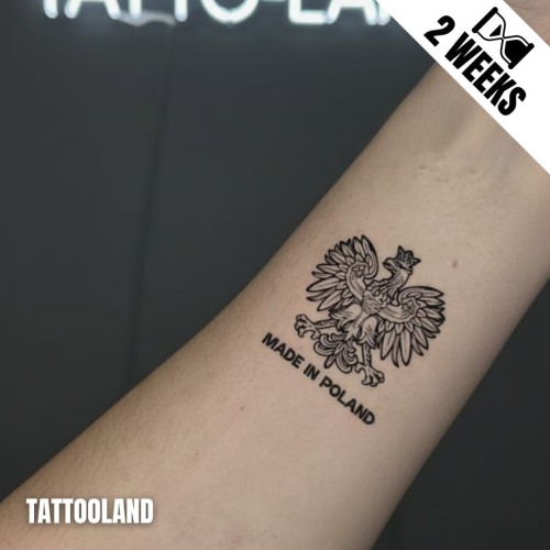 Tatuaż jagua półtrwały orzełek polski