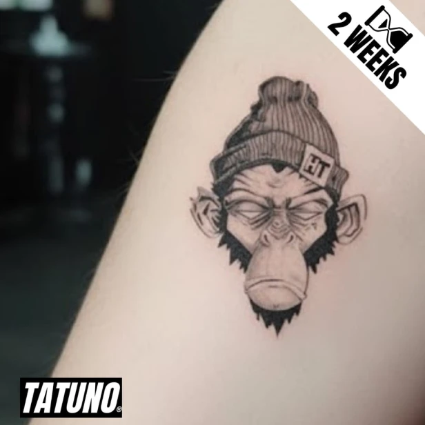 Tatuaż jagua półtrwały wyluzowana małpa