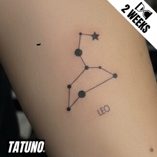 Tatuaż jagua półtrwały znak zodiaku lew