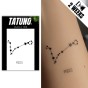 Tatuaż jagua półtrwały znak zodiaku ryby
