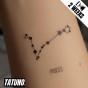 Tatuaż jagua półtrwały znak zodiaku ryby