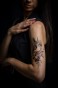 DSC00543.jpg