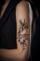 DSC00546.jpg