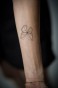 DSC00555.jpg