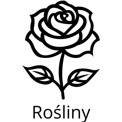 Rośliny